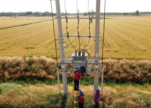 配電箱助力“電力保”―農(nóng)民有了“電力?！碑a(chǎn)業(yè)發(fā)展質(zhì)效