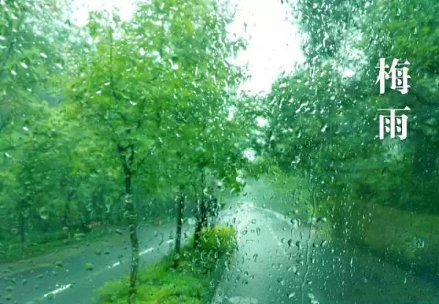 梅雨季節(jié)，如何解決配電箱回潮？給你支招